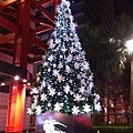 IMG_0466.jpg