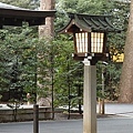 IMG_1572.jpg