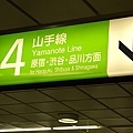 P1010810.jpg