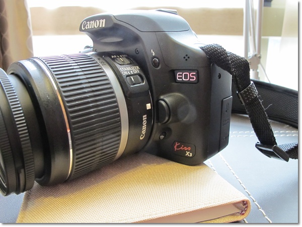 canon500d-2.JPG