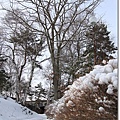 IMG_2883.JPG