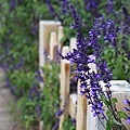 3 (158).jpg