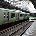 P1010815.jpg