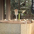IMG_1570.jpg