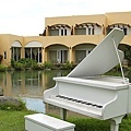 IMG_9634.jpg