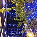 IMG_0456.jpg