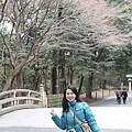 IMG_1534.jpg