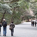 IMG_1532.jpg