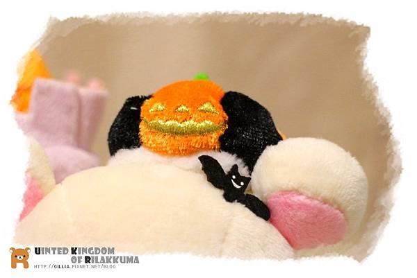 IMG_1395.jpg IMG_1395.jpg