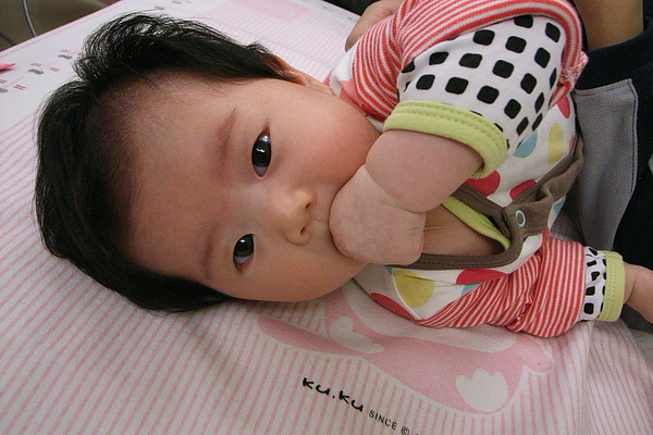 R0018712.jpg R0018712.jpg