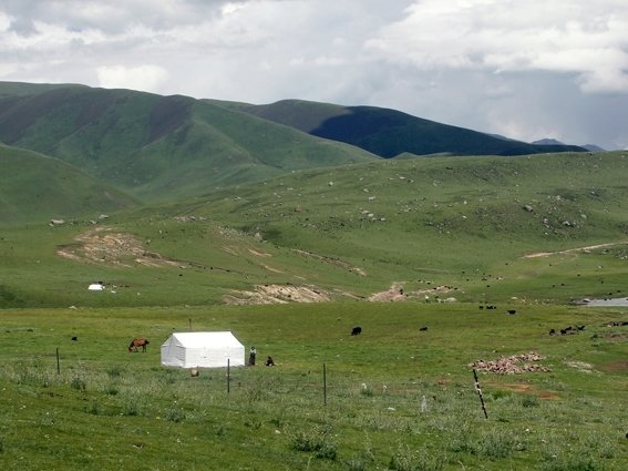 1916997_1181567133320_7393608_n