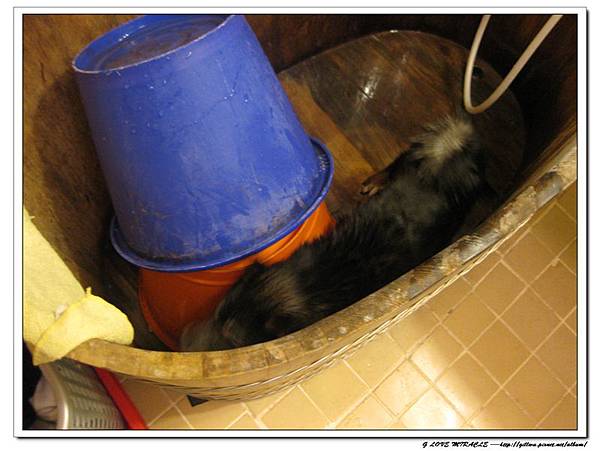 為啥就是走不出去呀~~~笨小路，你在那兒轉呀轉，當然是出不企的啦~~~哈哈哈哈~