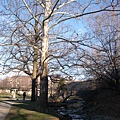 0127A stream in campus