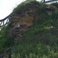 0618_10seagulls' nests