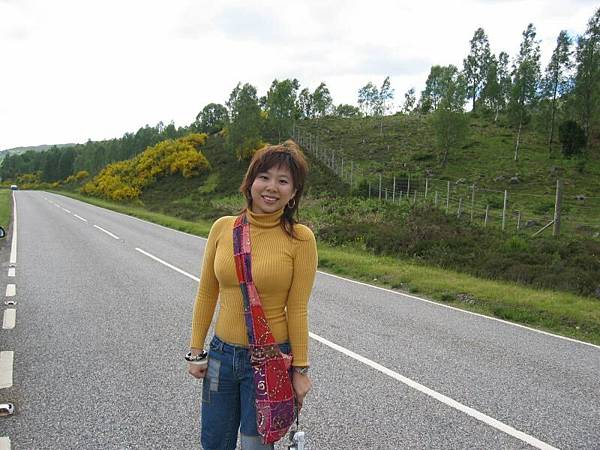 at the roadside of Skye