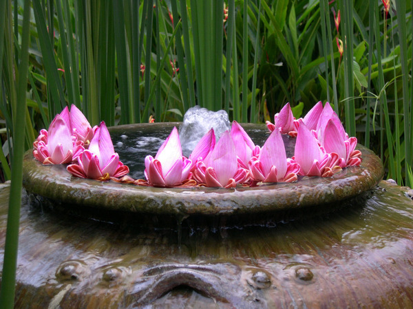 small fountain in the centre of hallway