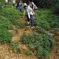RIMG2696SS.JPG