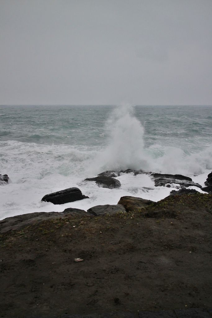 IMG_4324L.JPG IMG_4324L.JPG