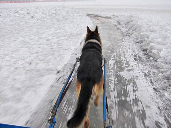 IMG_1412L.JPG IMG_1412L.JPG