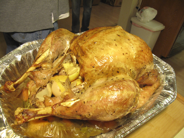 IMG_2237L.jpg IMG_2237L.jpg