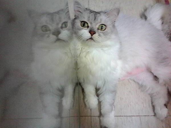 IMG_20150719_234614[1]