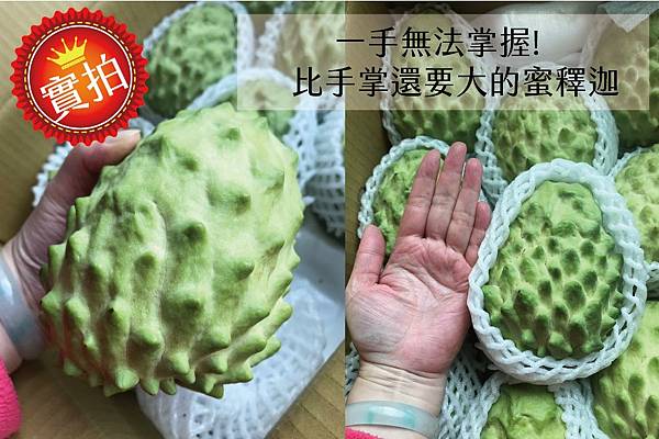 台東好釋 (14).jpg