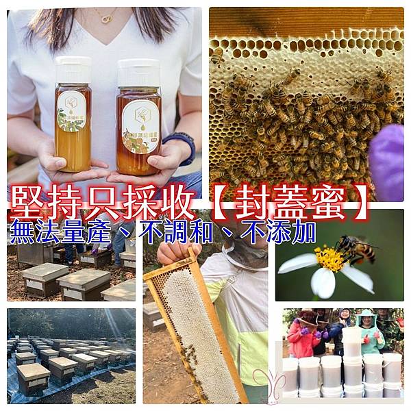 香醇頂級蜂蜜 (4).jpg