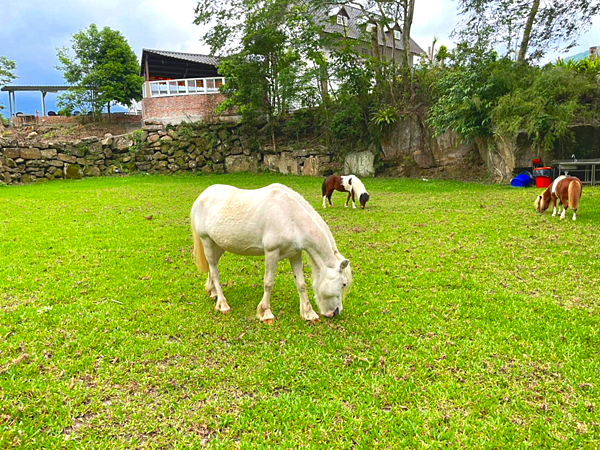 611-613苗栗 赫利豐岳_210704_61 611-613苗栗 赫利豐岳_210704_61