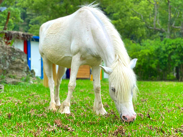 611-613苗栗 赫利豐岳_210704_66 611-613苗栗 赫利豐岳_210704_66