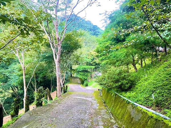 第32露花湖美地_210909_9 第32露花湖美地_210909_9