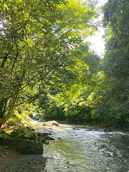 花湖美地️2021.08.13-15_210909_28 花湖美地️2021.08.13-15_210909_28