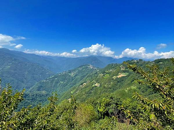 LINE_ALBUM_2021917第35露清清營區_211102_112