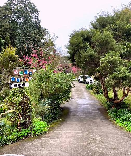 LINE_ALBUM_202217-19尖石 六號花園_220311_203