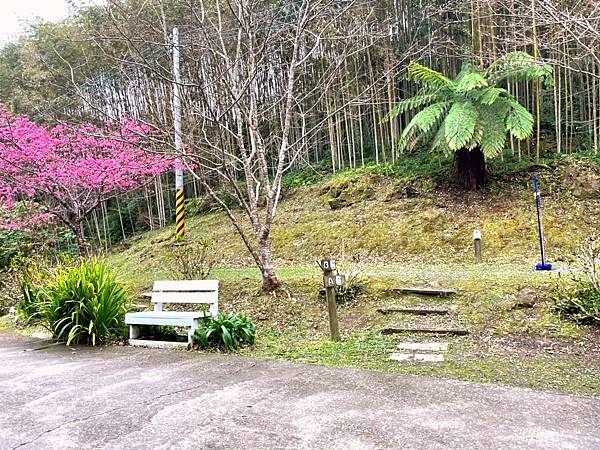 LINE_ALBUM_202217-19尖石 六號花園_220311_76