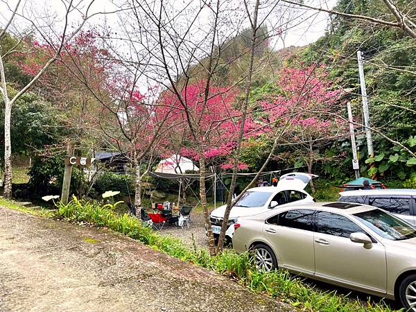 LINE_ALBUM_202217-19尖石 六號花園_220311_82