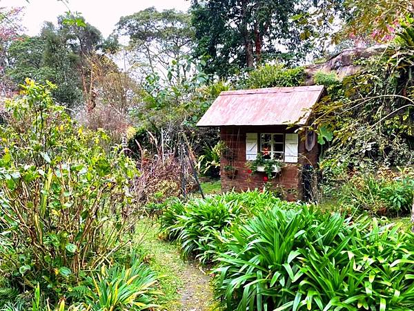 LINE_ALBUM_202217-19尖石 六號花園_220311_46