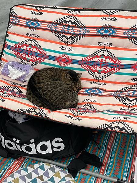 LINE_ALBUM_202217-19尖石 六號花園_220311_1