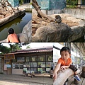 20121021-4Y2M-新竹動物園3