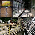 20121021-4Y2M-新竹動物園7