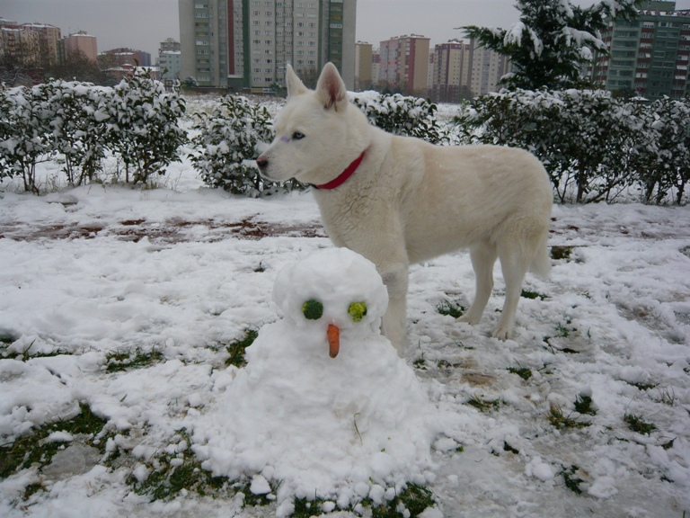 堆雪人4.JPG