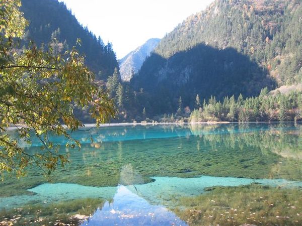 美麗五花海