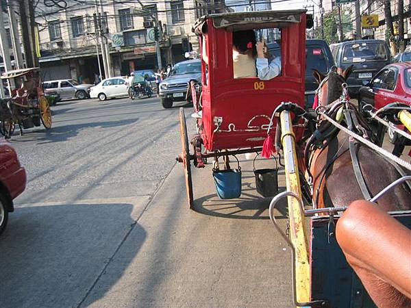 馬車下的水桶 一裝水 一裝飼料