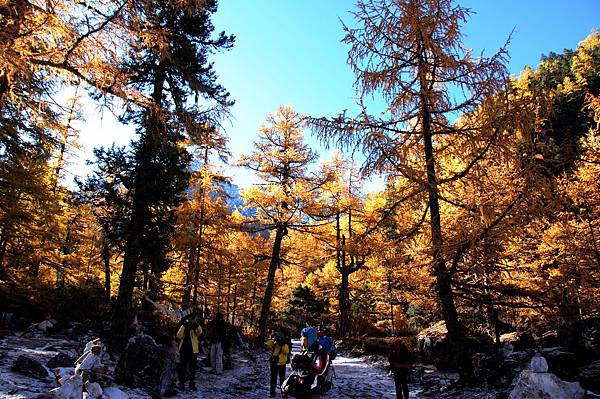 DSC_2974_4326-1.jpg DSC_2974_4326-1.jpg