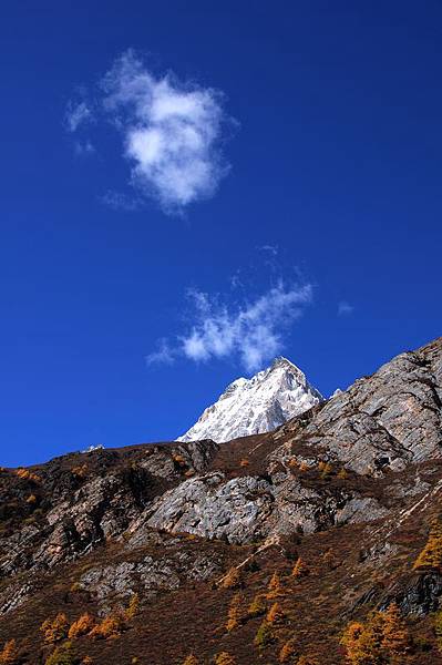 DSC_3077_4427-1.jpg DSC_3077_4427-1.jpg