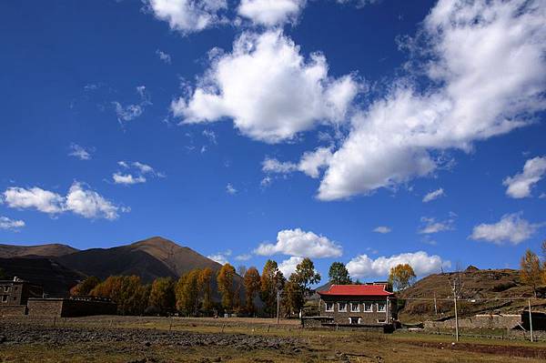DSC_3377_4975-1.jpg DSC_3377_4975-1.jpg