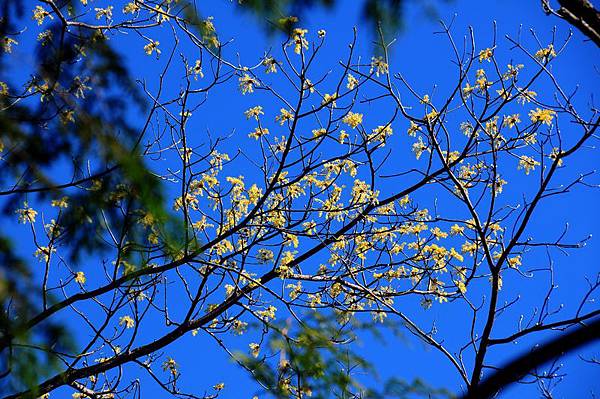 DSC_6851-1 DSC_6851-1