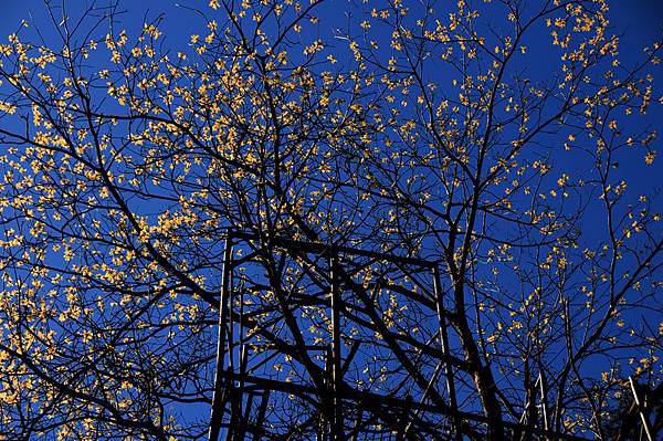 DSC_6869-1 DSC_6869-1