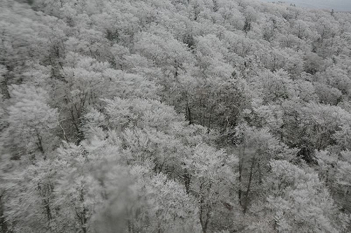 DSC_1043.jpg DSC_1043.jpg