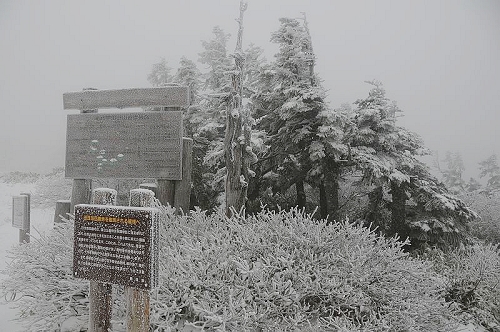 DSC_1075.jpg DSC_1075.jpg