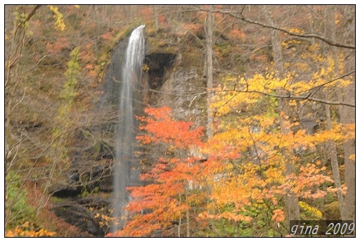 DSC_1137.jpg DSC_1137.jpg